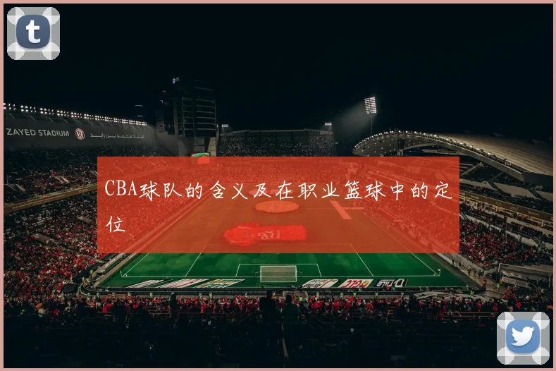 CBA球队的含义及在职业篮球中的定位